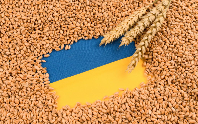 Польша может заблокировать агроэкспорт из Украины на 20 лет – что известно