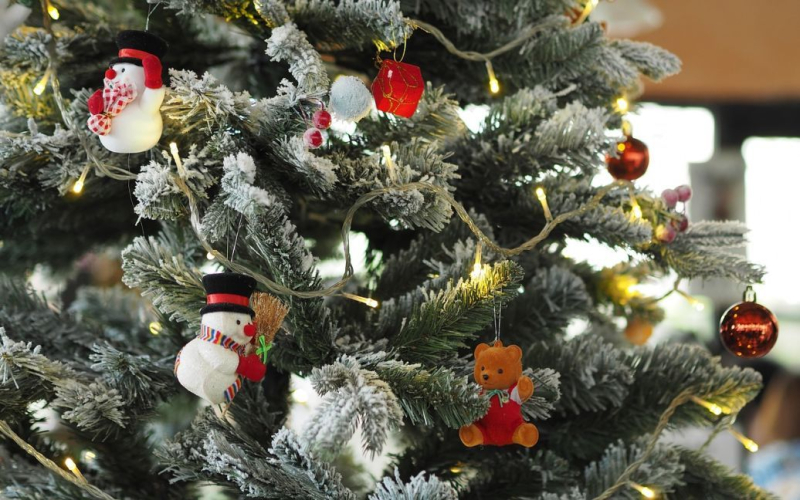 Сколько в Украине стоят живые и искусственные елки и что лучше купить на праздники: советы экспертов