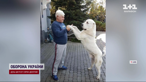 В Киеве алабаи экс-регионала нападают и загрызают собак: история получила неожиданное продолжение