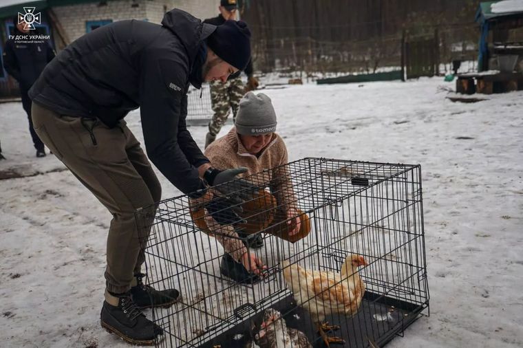 В Полтавской области спасли животных, которые застряли на острове после смерти смотрительницы