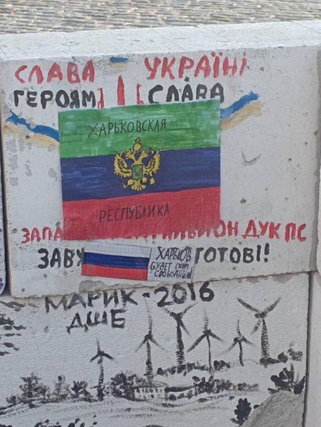 Харьковской школьнице, которая расклеивала российскую символику, хотят запретить пользоваться соцсетями